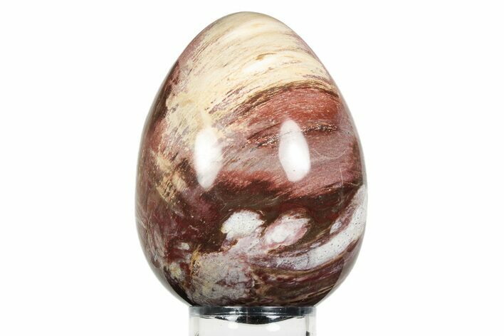 Colorful, Polished Petrified Wood Egg - Madagascar #245376